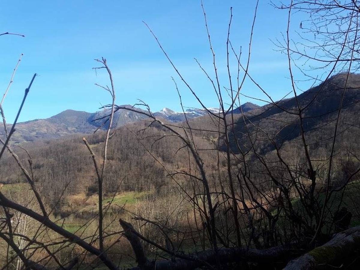 Te invitamos a recorrer con nosotros esta maravillosa ruta en pleno Parque Natural de Redes, que parte desde el pueblo de Caleao y que transcurre junto al río Los Arrudos y a su desfiladero. Esta ruta nos conducirá también por el frondoso hayedo de Los Arrobellaos, la majada de Roxecu, la majada de Llede, la de los Moyones, el Lago Ubales (una laguna de montaña en la que habitan tritones y varias plantas curiosas), el antiguo Camín de Castilla o las cabañas de Pasaoriu, entre otros. Una senda con encanto perfecta para disfrutar del senderismo y la naturaleza.