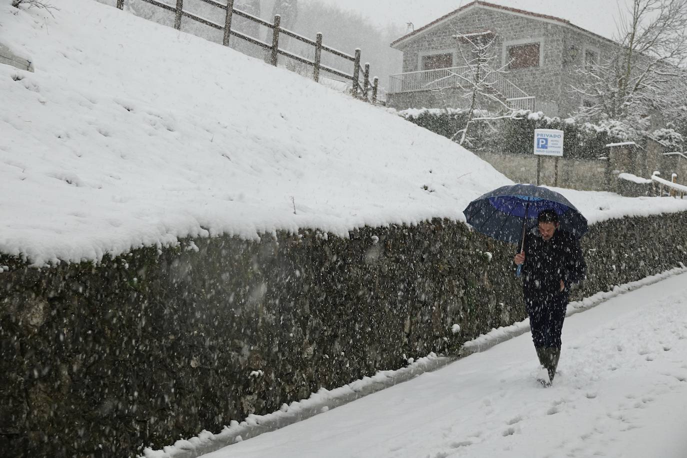 Asturias ha entrado en el mes de marzo bajo los efectos de la borrasca 'Karine', que ha desplomado la cota de nieve al entorno de los 700 metros, lo que ha complicado la circulación en puertos de montaña como Pajares. Ese manto blanco también dibuja paisajes únicos, como los que se pueden ver en los Lagos de Covadonga. En cotas más bajas, la lluvia es la protagonista de la jornada.