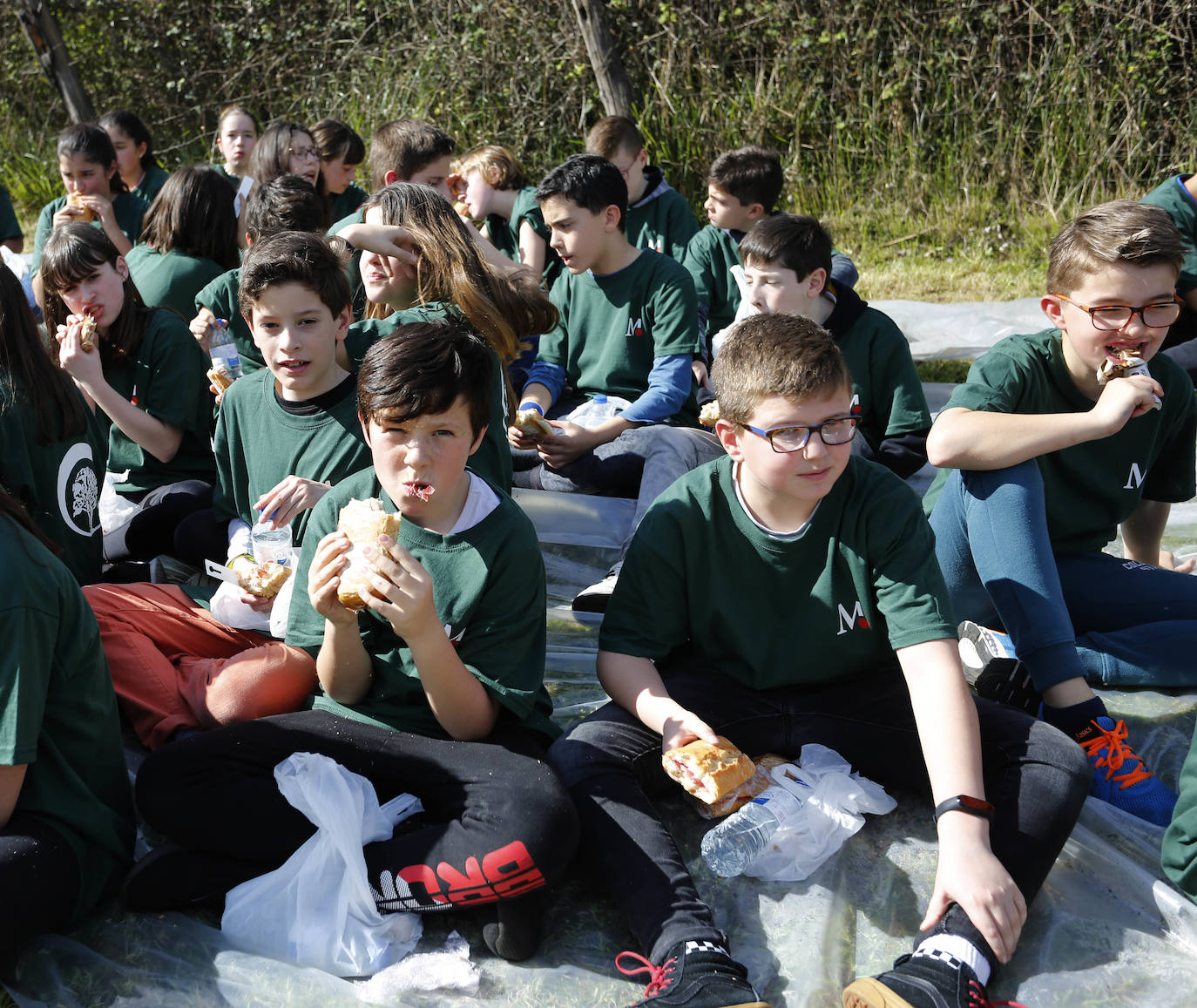 90 alumnos de los colegios San Félix y Poeta Antón han participado en la plantación de 95 frutales alrededor de la cementera gijonesa Tudela Veguín. 