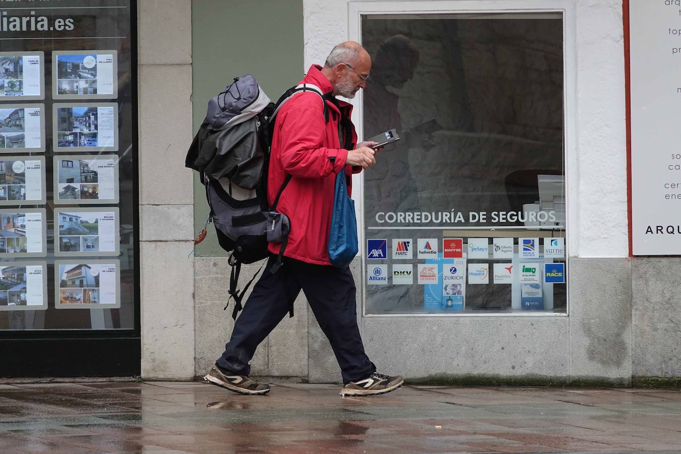 Cuando faltan días para la llegada de la primavera, Asturias vive jornadas de pleno invierno en las que la nieve, el granizo y fuertes vientos, que incluso han derribado árboles.