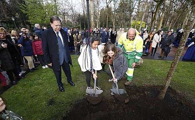 Galería. Plantación de un carbayón en Oviedo con motivo del 8-M.