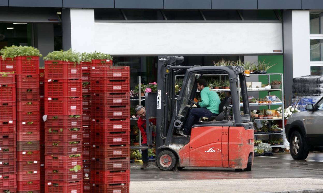 Empleados de un negocio floral, en el polígono del Espíritu Santo. 