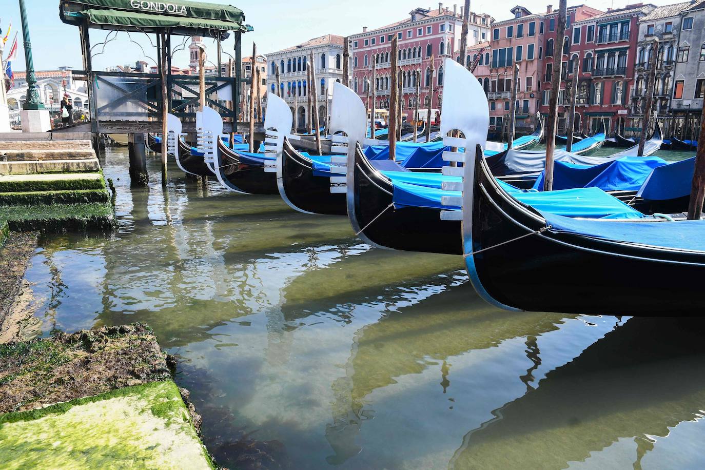 Fotos: Venecia recupera las aguas cristalinas