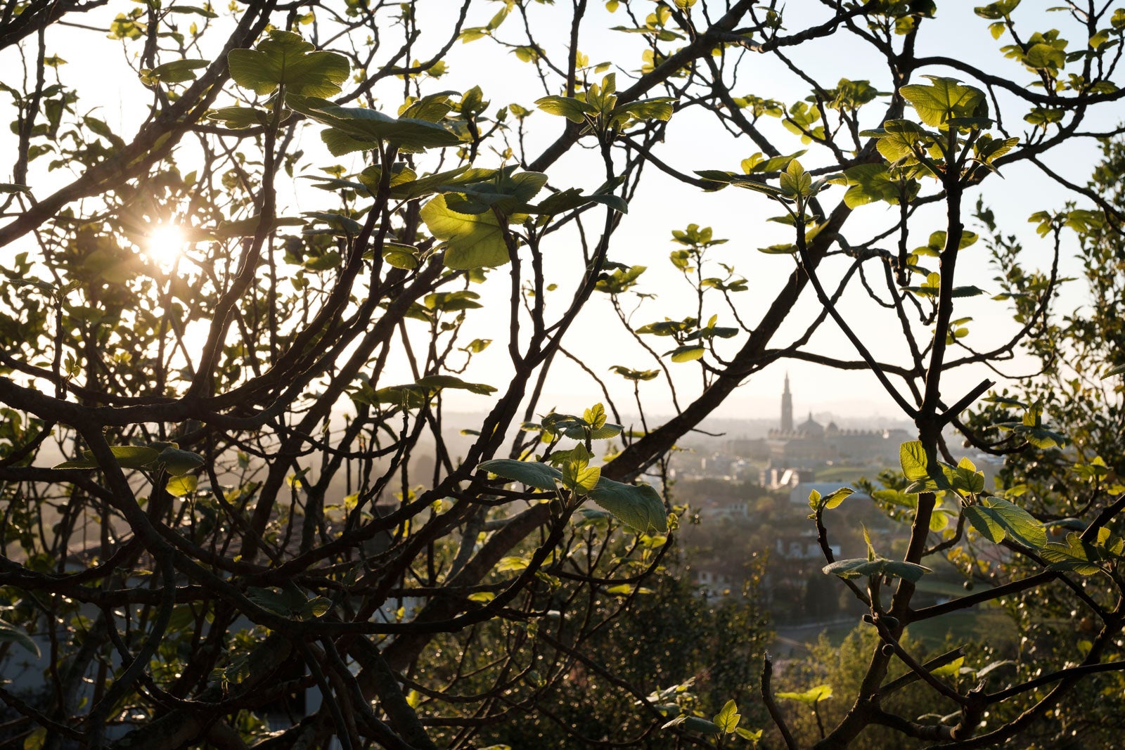 Te acercamos las imágenes de Asturias que este año apenas podemos disfrutar a causa de la terrible pandemia que azota nuestro país. 
