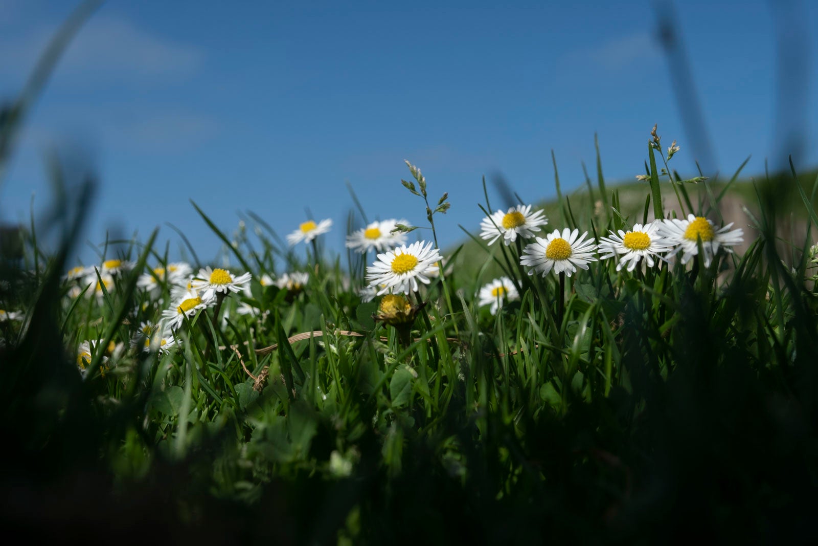 Te acercamos las imágenes de Asturias que este año apenas podemos disfrutar a causa de la terrible pandemia que azota nuestro país. 
