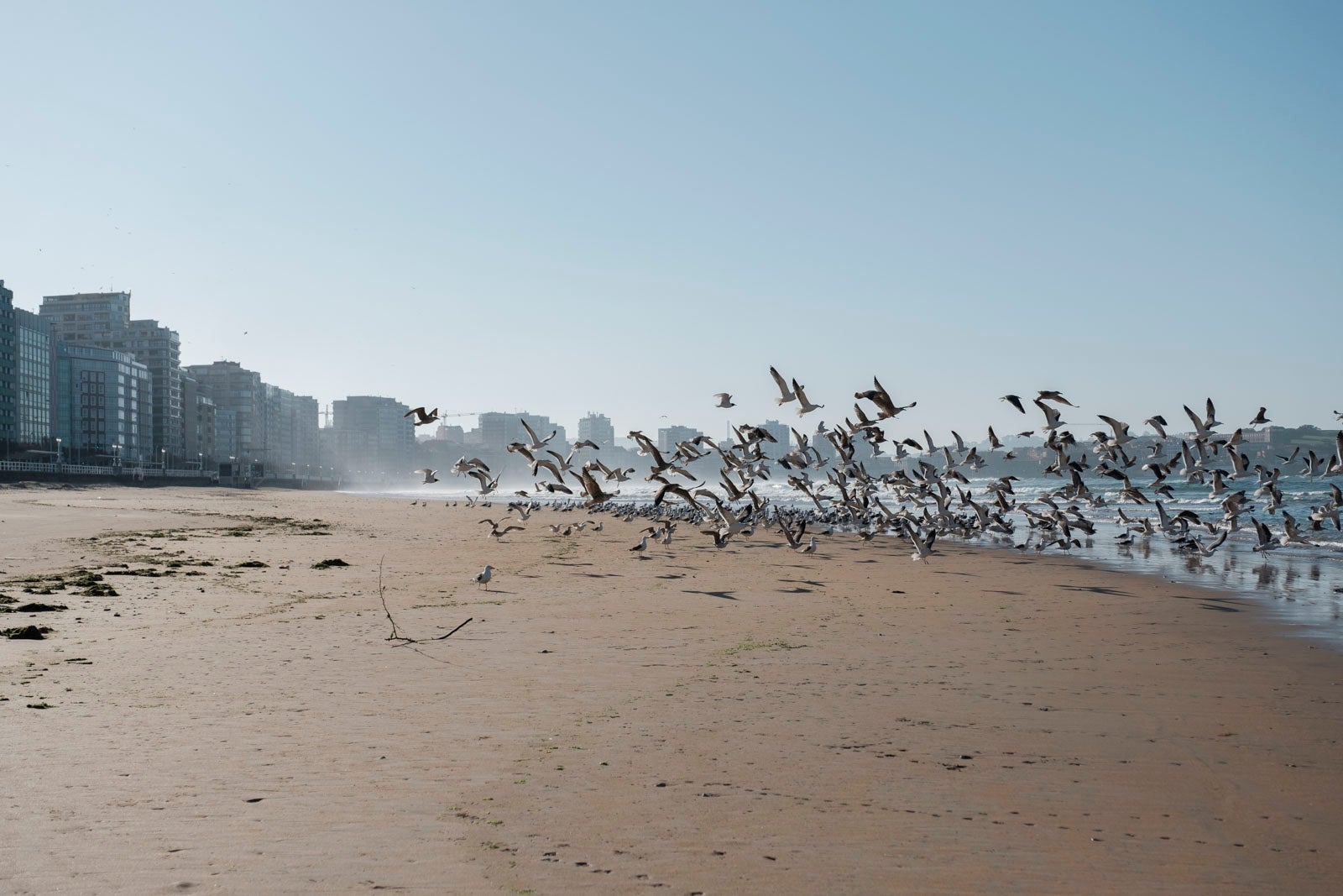 Te acercamos las imágenes de Asturias que este año apenas podemos disfrutar a causa de la terrible pandemia que azota nuestro país. 