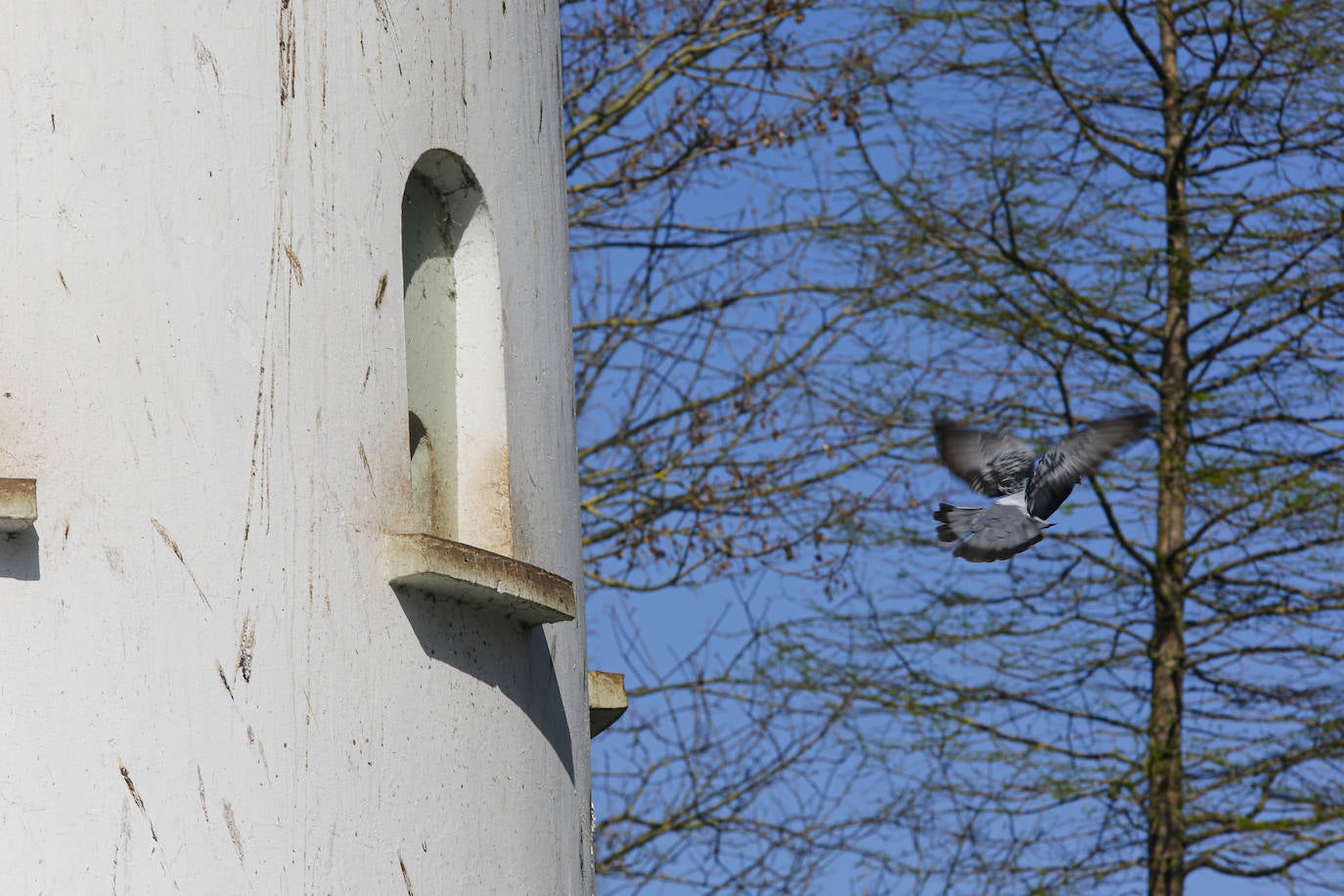 Te acercamos las imágenes de Asturias que este año apenas podemos disfrutar a causa de la terrible pandemia que azota nuestro país. 