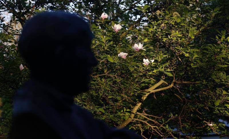 Te acercamos las imágenes de Asturias que este año apenas podemos disfrutar a causa de la terrible pandemia que azota nuestro país. 