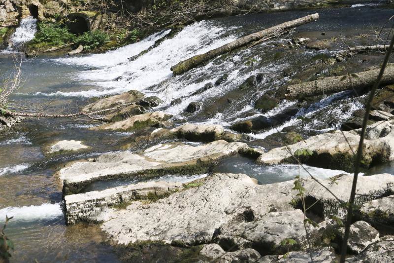 Te acercamos las imágenes de Asturias que este año apenas podemos disfrutar a causa de la terrible pandemia que azota nuestro país. 