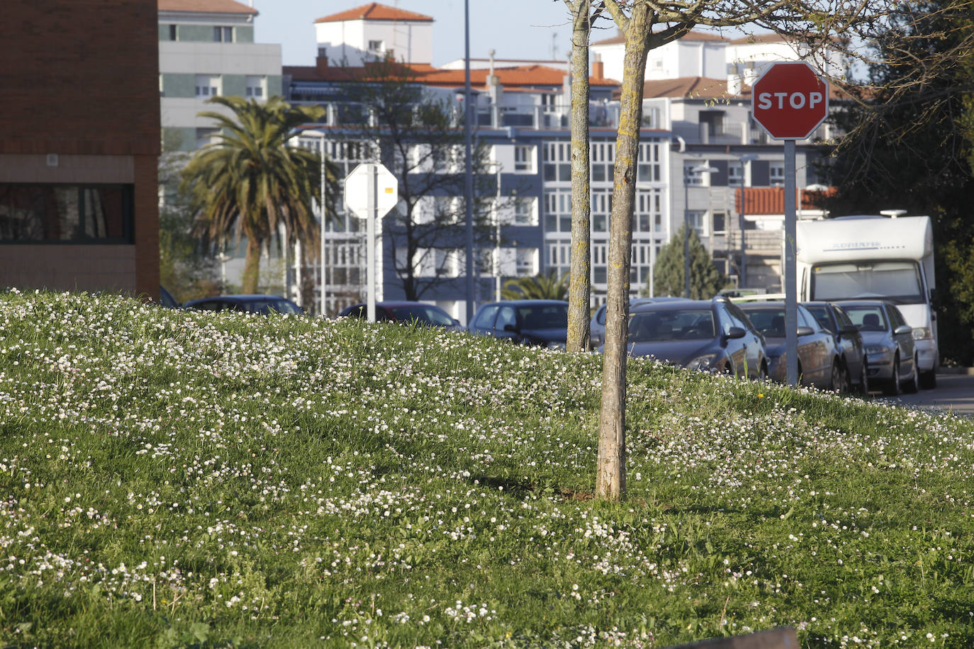 Te acercamos las imágenes de Asturias que este año apenas podemos disfrutar a causa de la terrible pandemia que azota nuestro país. 