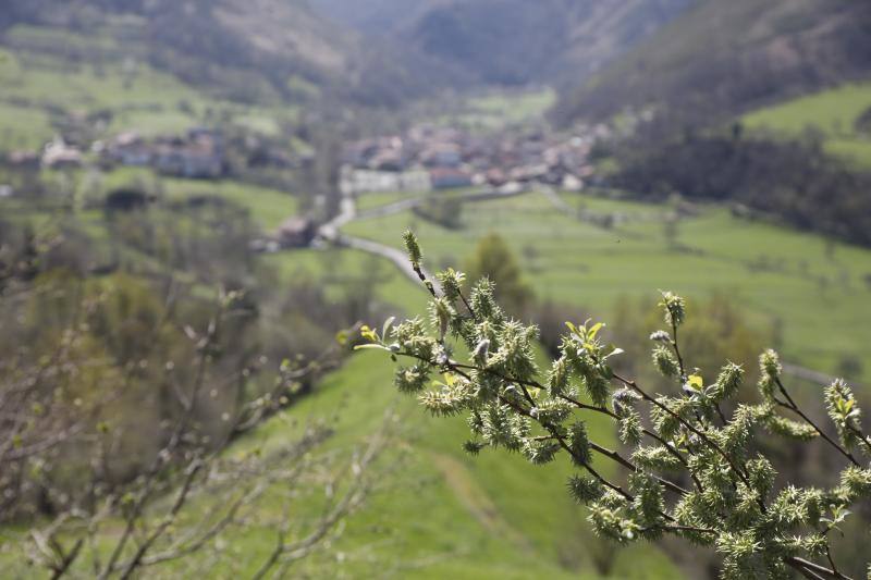 Te acercamos las imágenes de Asturias que este año apenas podemos disfrutar a causa de la terrible pandemia que azota nuestro país. 