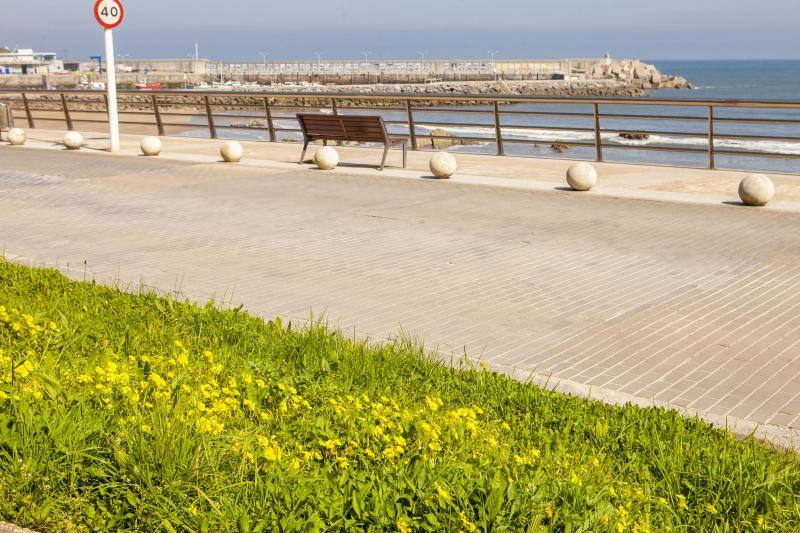 Te acercamos las imágenes de Asturias que este año apenas podemos disfrutar a causa de la terrible pandemia que azota nuestro país. 