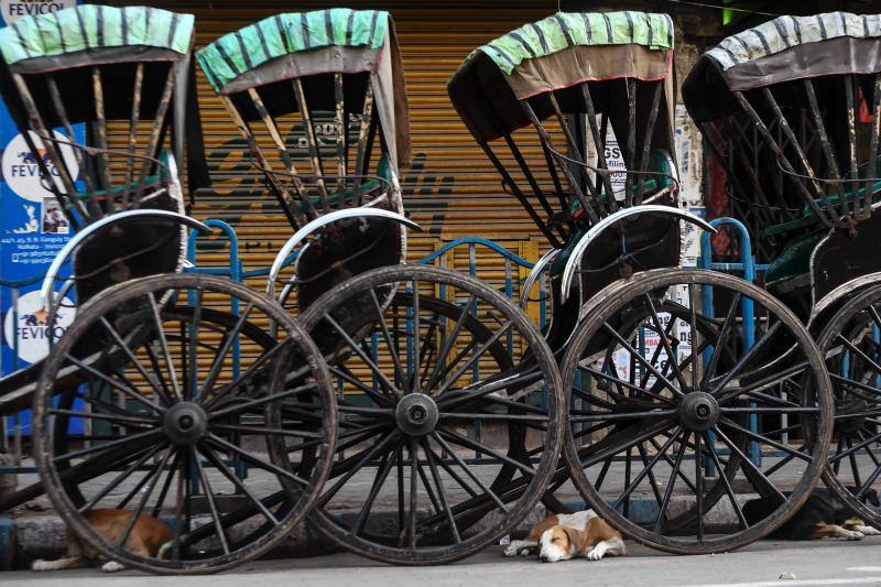 La Organización Mundial de la Salud (OMS) ha confirmado que los animales no transmiten el temido coronavirus y a día de hoy, tener un perro se ha convertido en la envidia del vecindario al poder salir a la calle a pasearlo. La crisis del Covid-19 deja imágenes tan curiosas como estas del mundo animal.