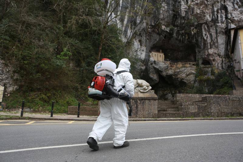 En la lucha contra el nuevo coronavirus no hay espacio que se libre de la lejía. Si en los últimos días se hizo habitual la imagen de personal enfundado en buzos de protección rociando con soluciones desinfectantes todo tipo de espacios, públicos y privados, ayer el escenario era el Santuario de Covadonga. Una estampa que pocos pudieron contemplar, pues el Real Sitio permanece prácticamente vacío, con la única excepción de los religiosos que allí residen y algunos trabajadores, desde la declaración del estado de alarma. Una estampa del todo inusual, más aún en esta época del año, que la presencia de un operario municipal pertrechado con un mono de protección, guantes, mascarilla y una mochila de fumigar hizo todavía más extraño.