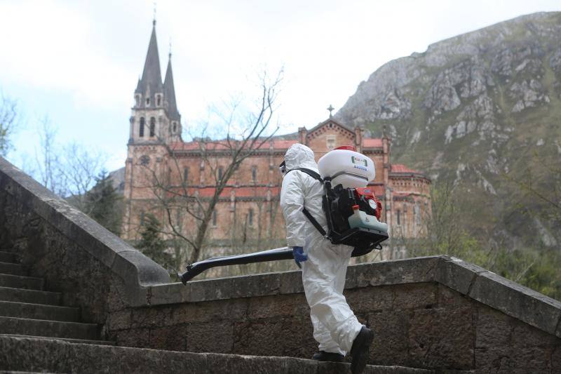 En la lucha contra el nuevo coronavirus no hay espacio que se libre de la lejía. Si en los últimos días se hizo habitual la imagen de personal enfundado en buzos de protección rociando con soluciones desinfectantes todo tipo de espacios, públicos y privados, ayer el escenario era el Santuario de Covadonga. Una estampa que pocos pudieron contemplar, pues el Real Sitio permanece prácticamente vacío, con la única excepción de los religiosos que allí residen y algunos trabajadores, desde la declaración del estado de alarma. Una estampa del todo inusual, más aún en esta época del año, que la presencia de un operario municipal pertrechado con un mono de protección, guantes, mascarilla y una mochila de fumigar hizo todavía más extraño.
