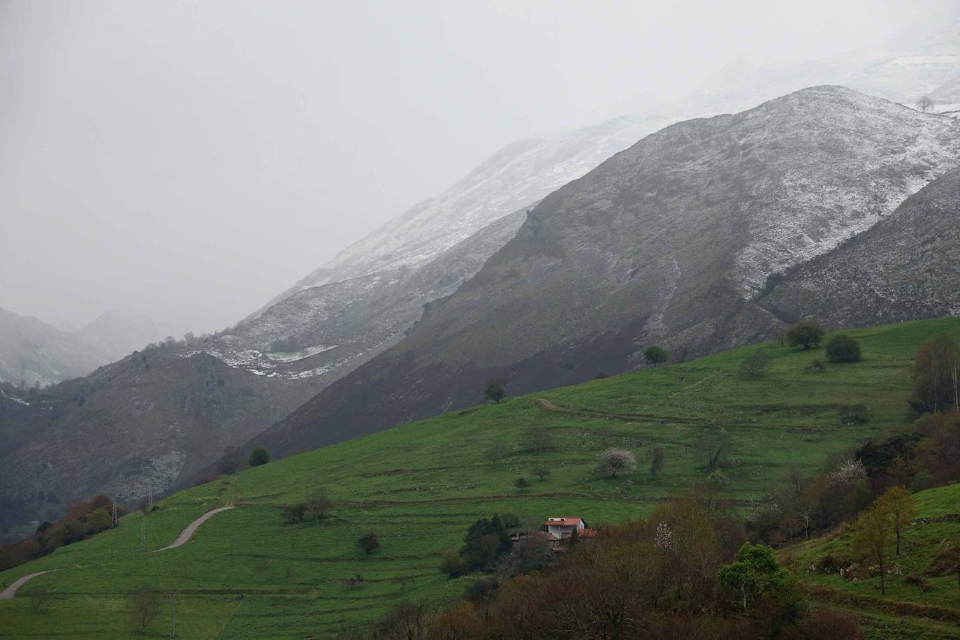 Marzo se despide dejando una imagen poco habitual durante la primavera. Parte del Principado de Asturias ha amanecido bajo un manto de nieve y la previsión meteorológica es que continúe nevando durante la jornada del martes. 