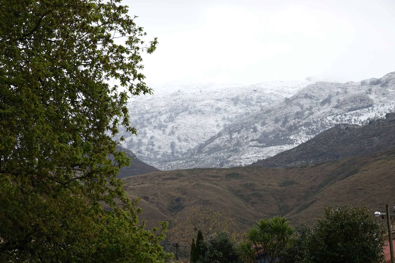 Marzo se despide dejando una imagen poco habitual durante la primavera. Parte del Principado de Asturias ha amanecido bajo un manto de nieve y la previsión meteorológica es que continúe nevando durante la jornada del martes. 
