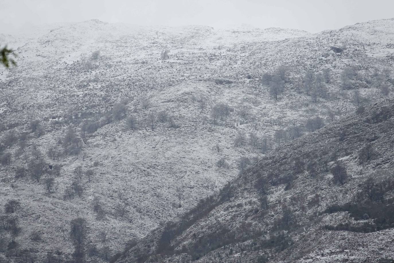 La recién estrenada primavera deja en la región una de esas nevadas que invitan a disfrutar del paisaje. Pese a que la mayoría de los asturianos la han vivido desde el confinamiento por el coronavirus, EL COMERCIO les invita a hacer un recorrido por las mejores estampas blancas de la región. 