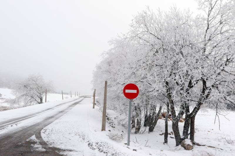 La recién estrenada primavera deja en la región una de esas nevadas que invitan a disfrutar del paisaje. Pese a que la mayoría de los asturianos la han vivido desde el confinamiento por el coronavirus, EL COMERCIO les invita a hacer un recorrido por las mejores estampas blancas de la región. 