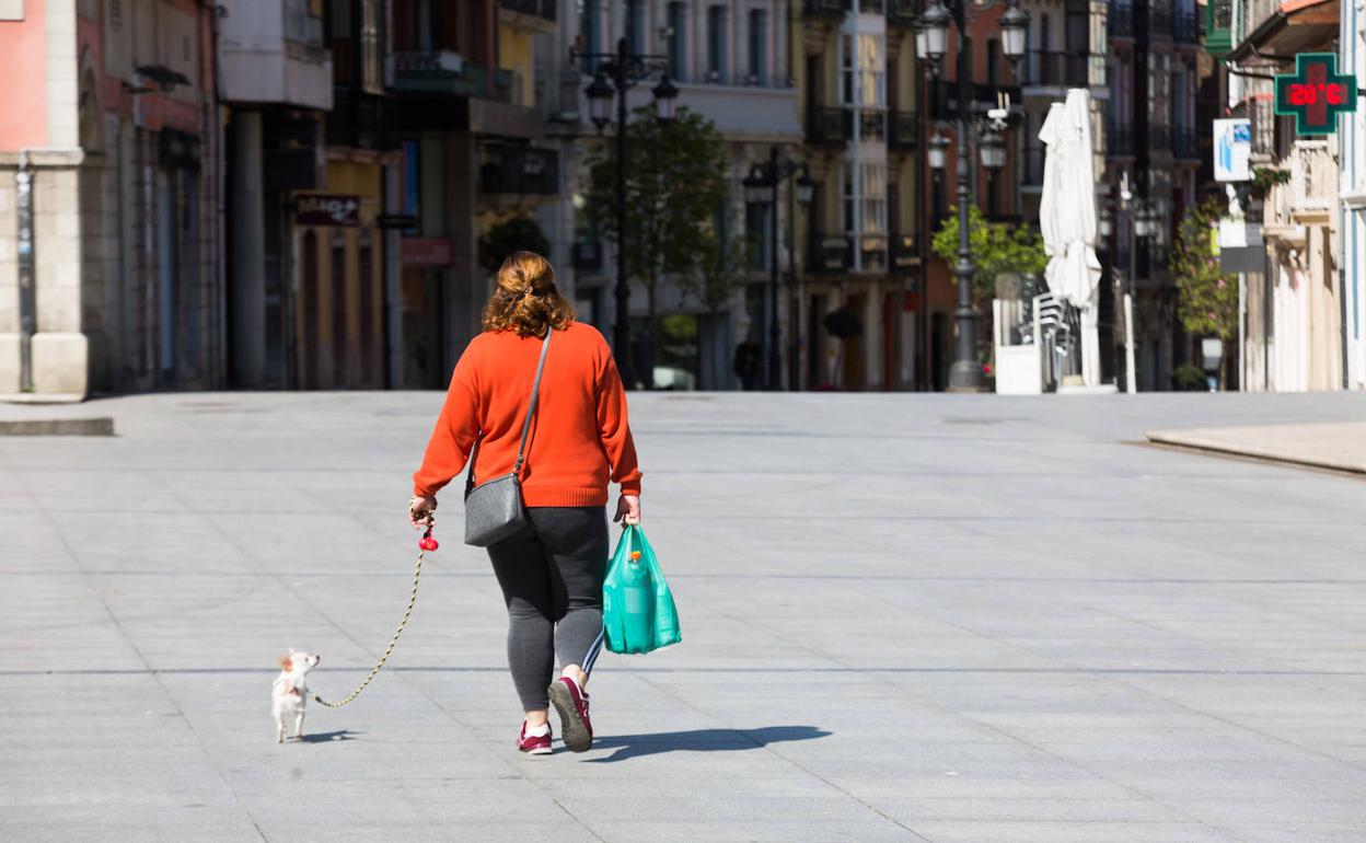 Una mujer pasea su perro por la plaza de España. 