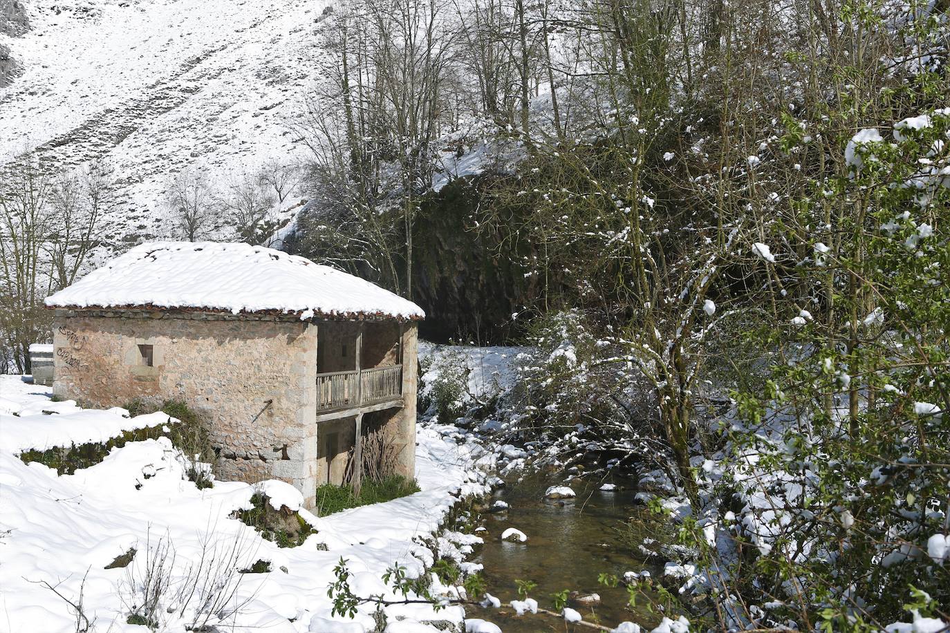 La recién estrenada primavera deja en la región una de esas nevadas que invitan a disfrutar del paisaje. Pese a que la mayoría de los asturianos la han vivido desde el confinamiento por el coronavirus, EL COMERCIO les invita a hacer un recorrido por las mejores estampas blancas de la región. 