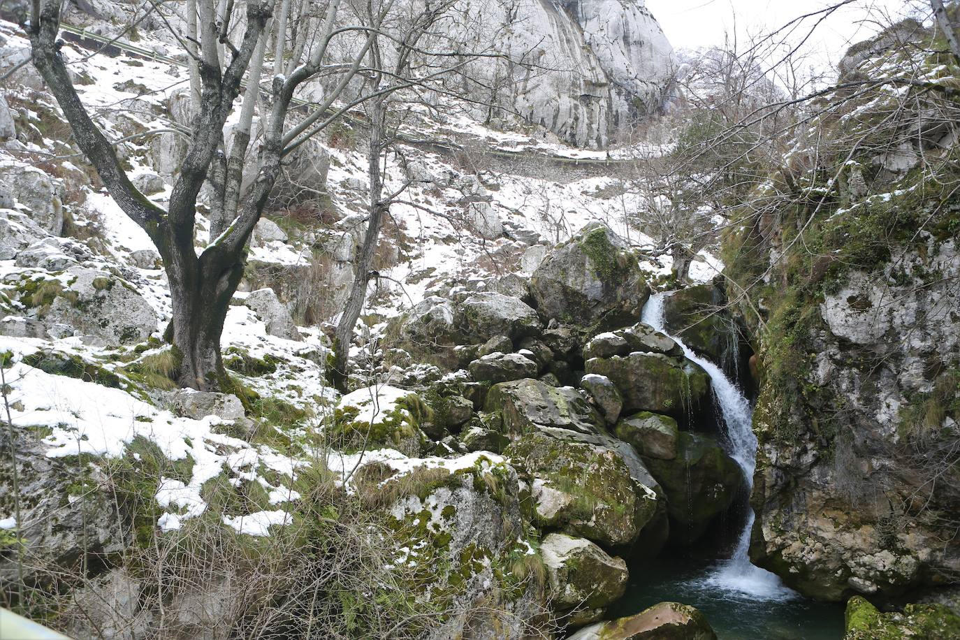 La recién estrenada primavera deja en la región una de esas nevadas que invitan a disfrutar del paisaje. Pese a que la mayoría de los asturianos la han vivido desde el confinamiento por el coronavirus, EL COMERCIO les invita a hacer un recorrido por las mejores estampas blancas de la región. 
