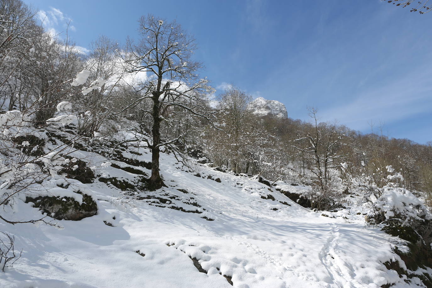 La recién estrenada primavera deja en la región una de esas nevadas que invitan a disfrutar del paisaje. Pese a que la mayoría de los asturianos la han vivido desde el confinamiento por el coronavirus, EL COMERCIO les invita a hacer un recorrido por las mejores estampas blancas de la región. 