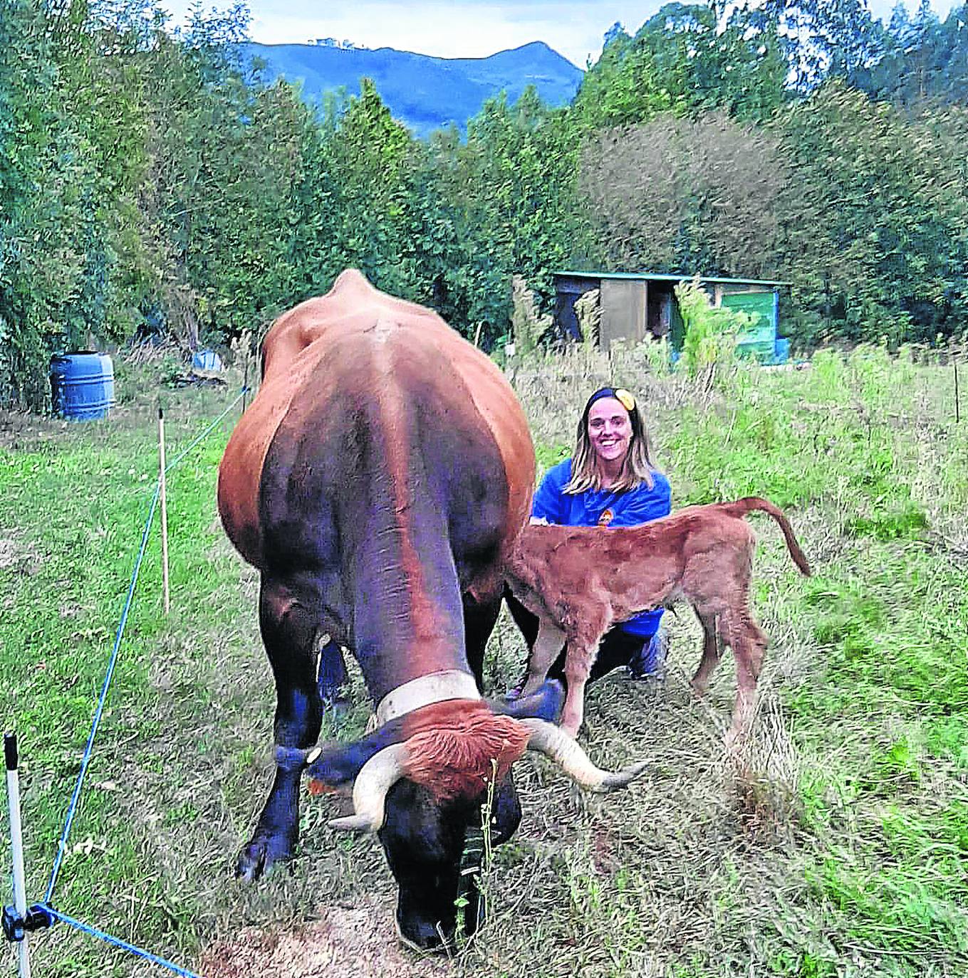 Lucía Velasco, con un ternero y su madre en El Escampleru.