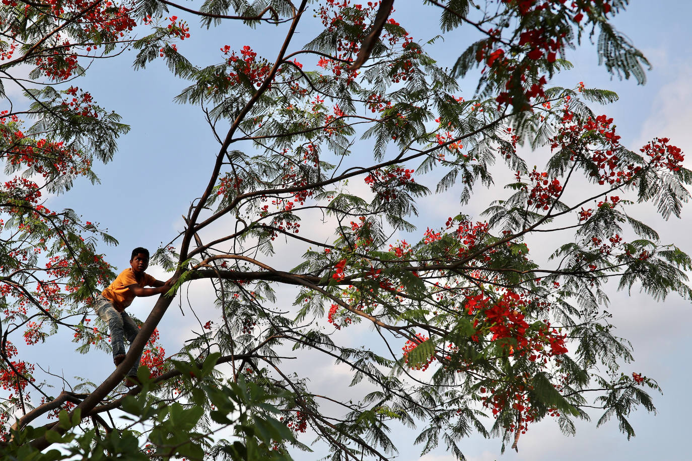 Bangladesh