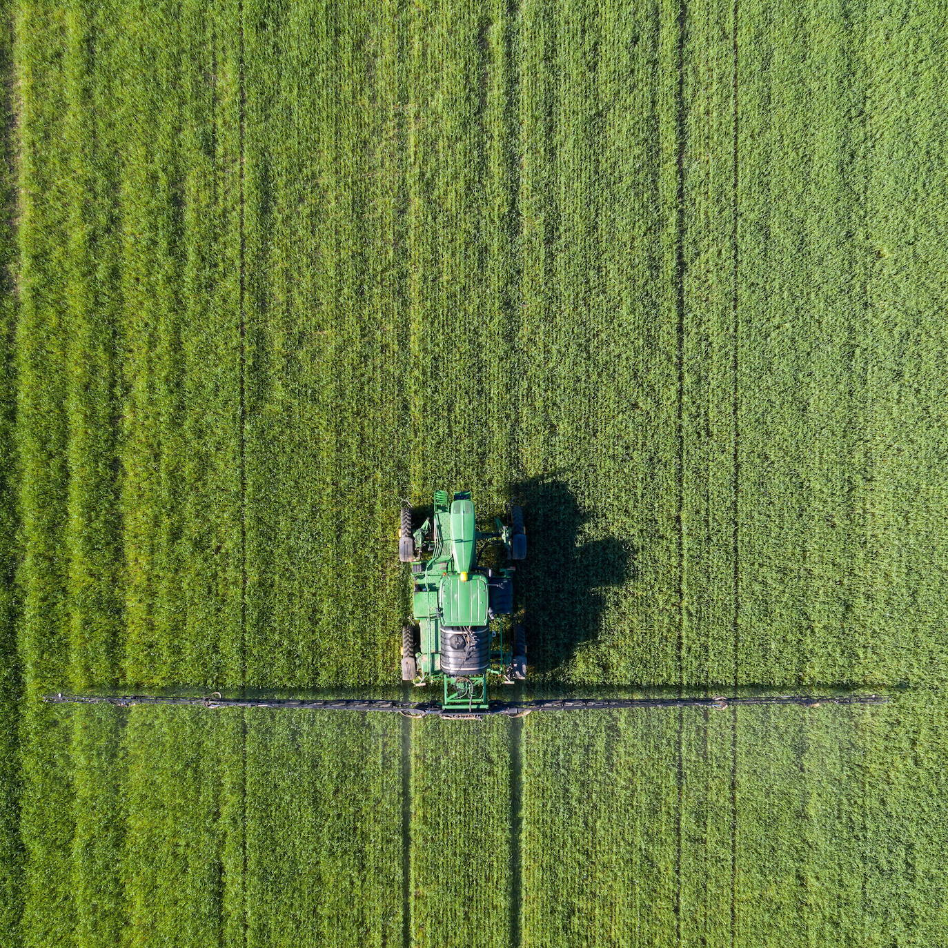 Trabajando el campo en Hungría