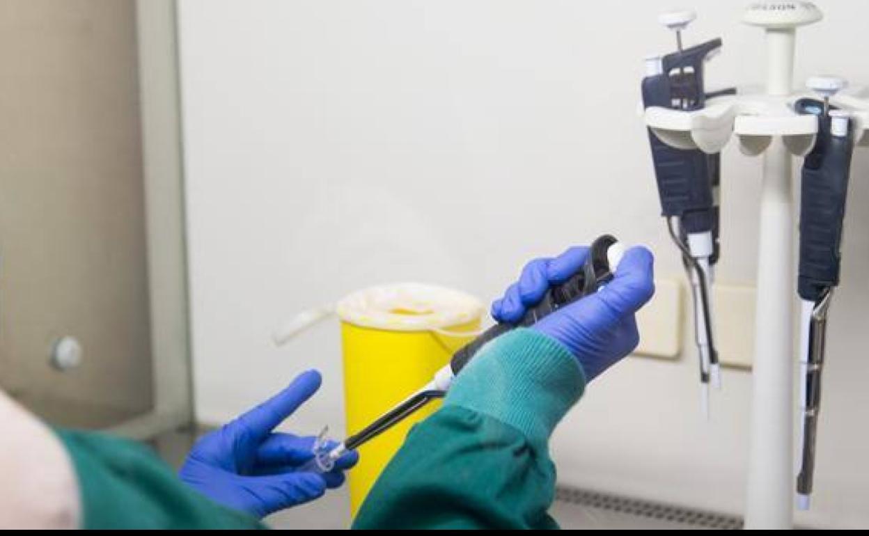 Un test para detectar el coronavirus a pie de calle se basa en un hallazgo de Margarita Salas