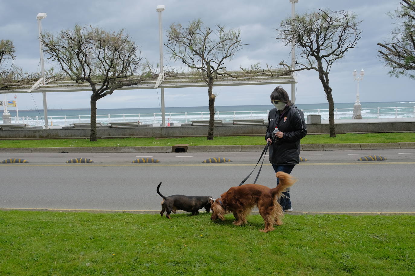 Este jueves se procedió al corte de un carril del Muro para facilitar los paseos de los ciudadanos durante la desescalada. Se trata de la vía más próxima al arenal entre Menéndez Pelayo y El Náutico.