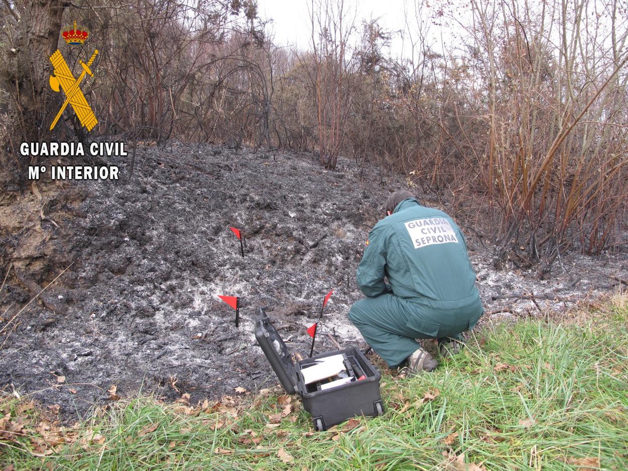 Un agente del Seprona durante la investigación de campo. 