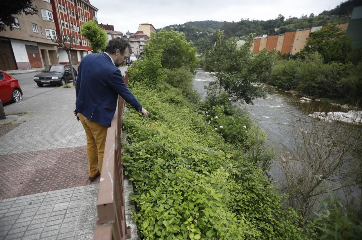 Dani Quintas señala una de las zonas donde se ven las ratas. 