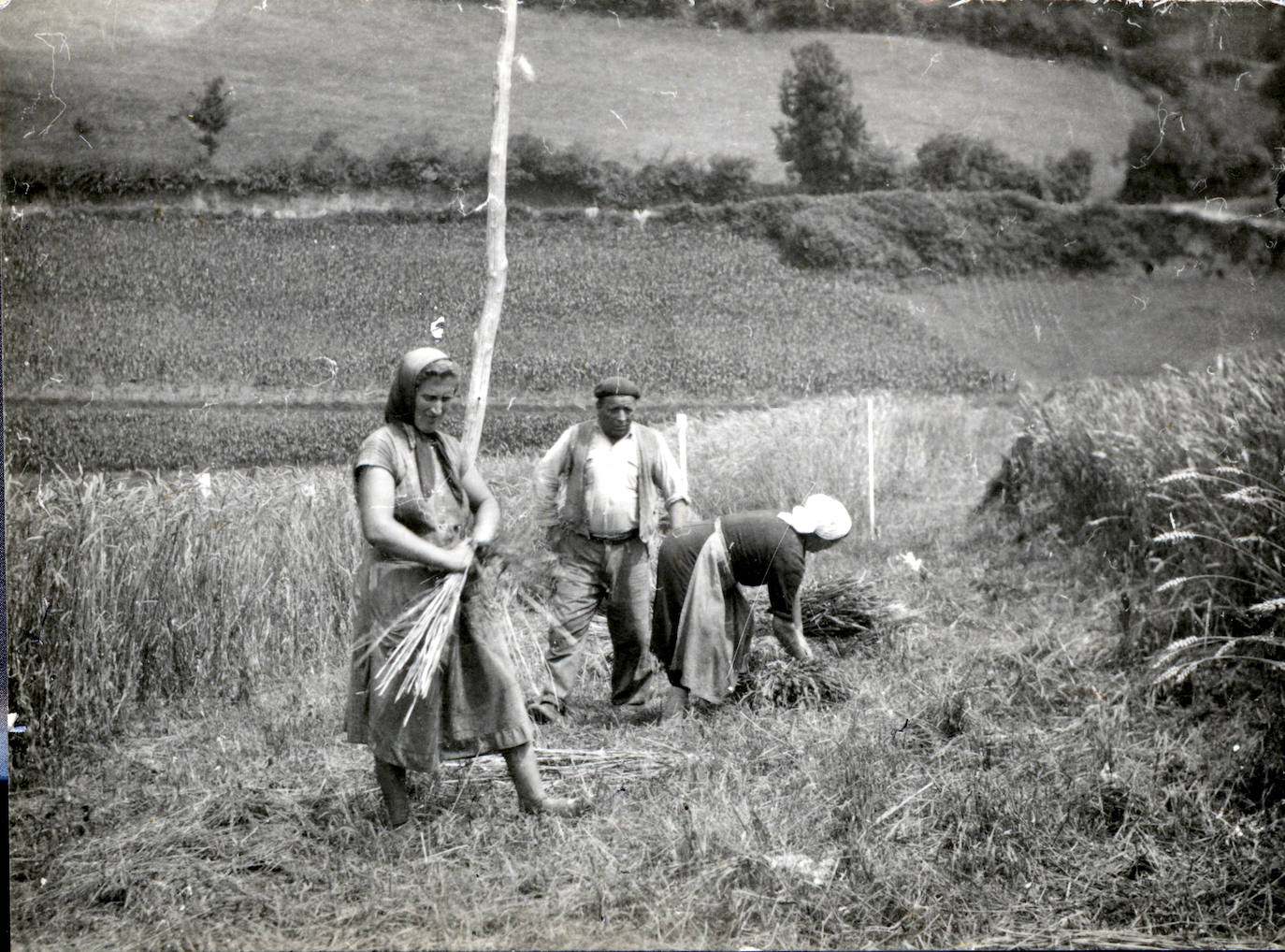 Con motivo del Día de los Museos el Museo del Pueblo de Asturias pone a disposición del público 40.000 imágenes de su colección que ya se pueden consultar online y que permite viajar en el tiempo entre los años 1.880 y 2.000. 