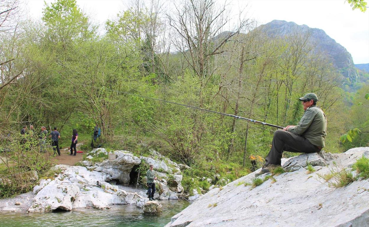 El Principado sopesa abrir la temporada de pesca del salmón la próxima semana