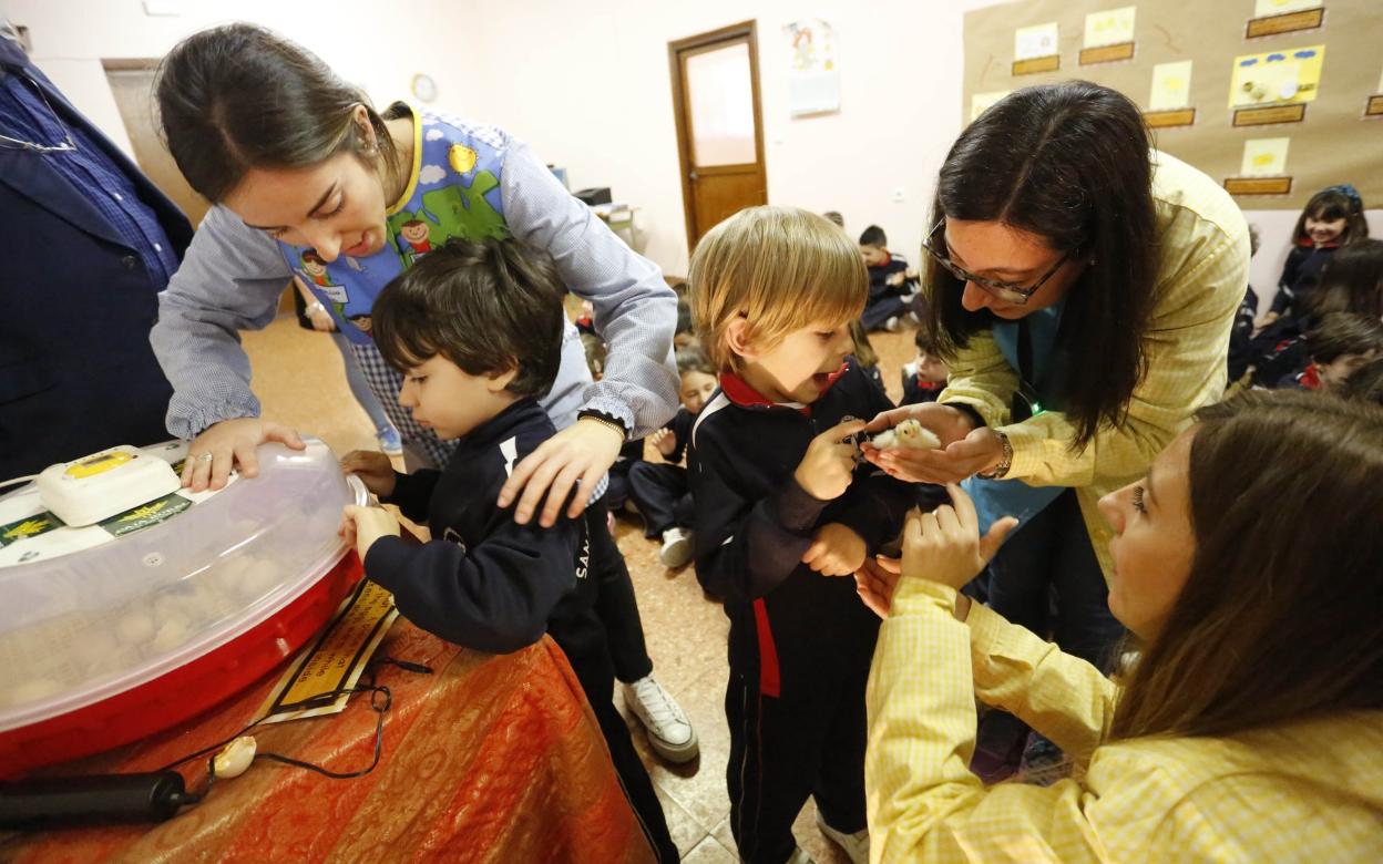 Un niño participa en una actividad de ocio escolar con animales.