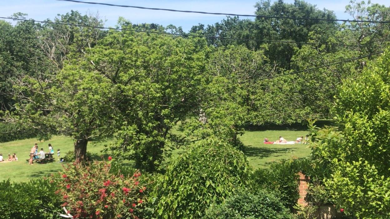 La carbayera del Tragamón, donde este fin de semana se impusieron doce sanciones. 