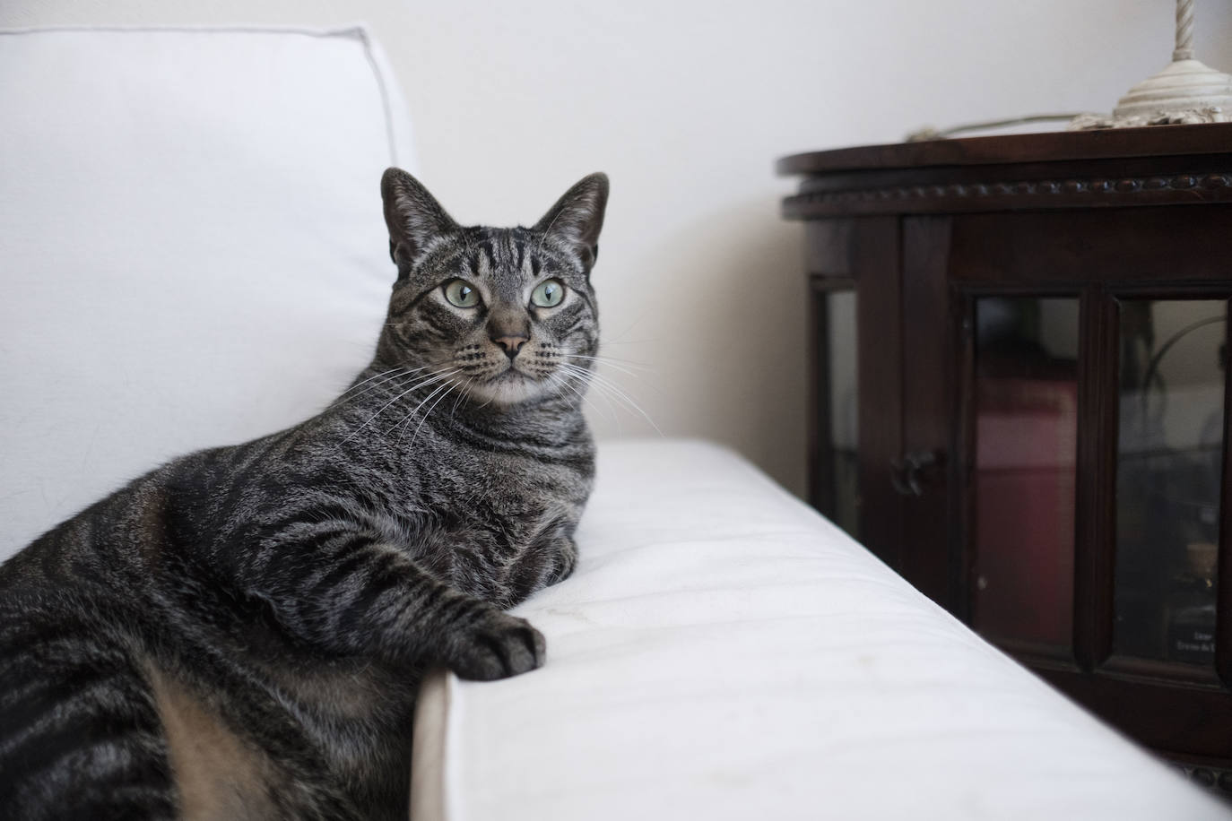 Fotos: Las imágenes que nos deja la casa de Lydia Valledor