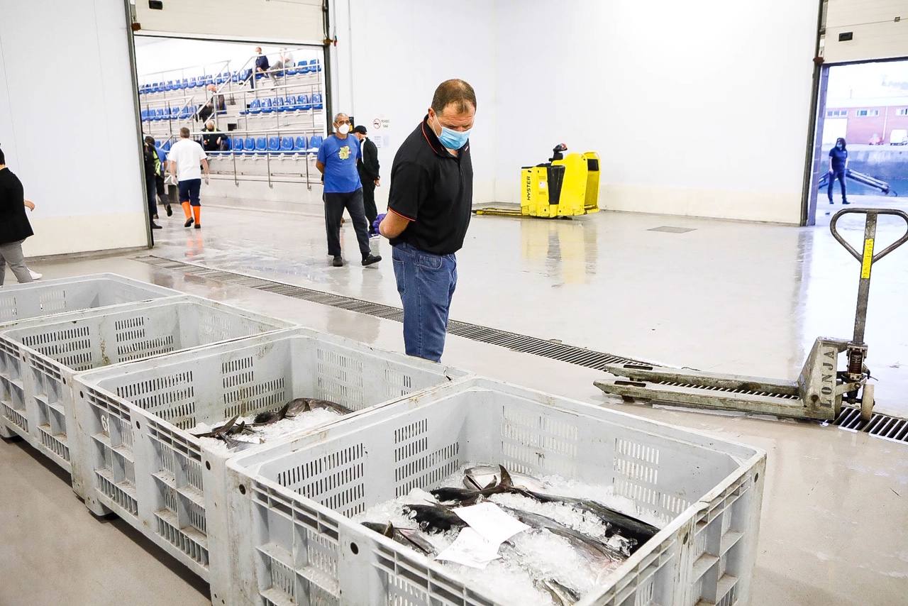 La temporada se estrenó con la venta a 14.03 euros el kilo en la primera tina de bonito grande, 119 kilos que se llevó Pescados El Kiku, de Tazones. El resto, mas de 8.800 kilos, lo compró Alimerka a 12.96 euros. 