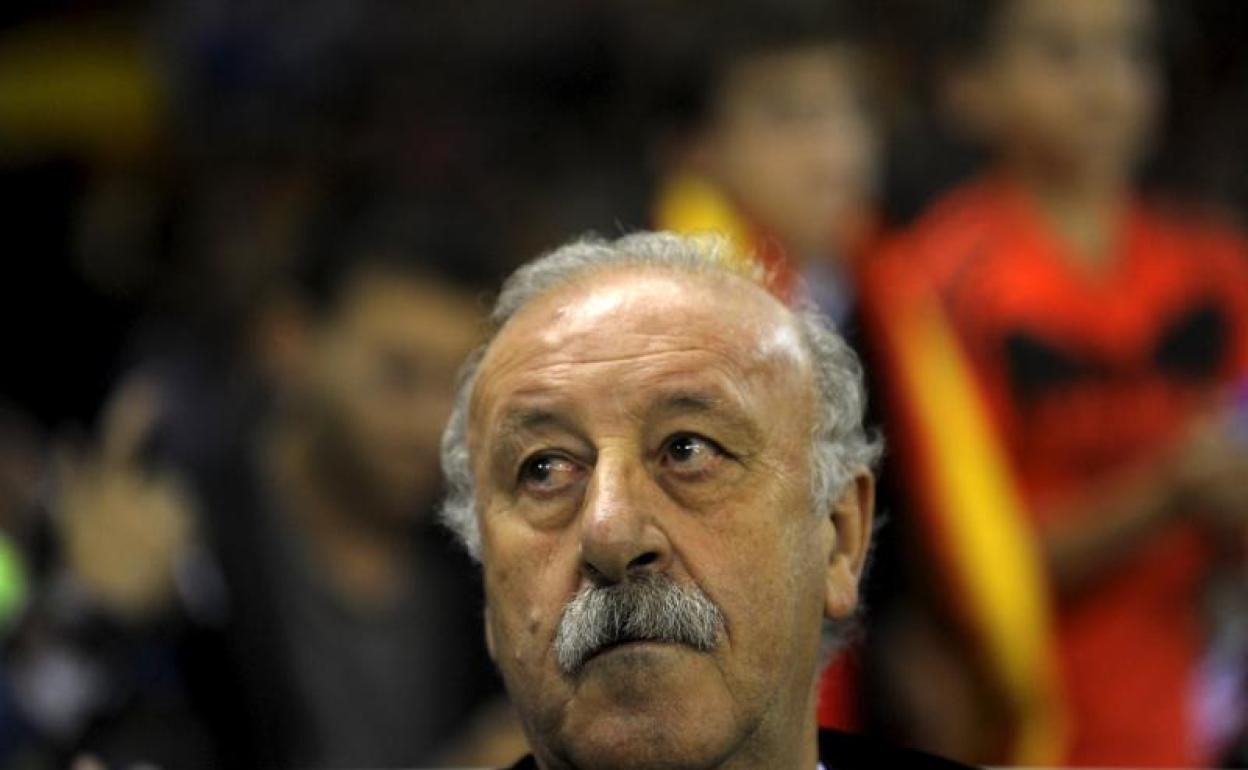 Vicente del Bosque, durante un partido en un etapa de seleccionador. 