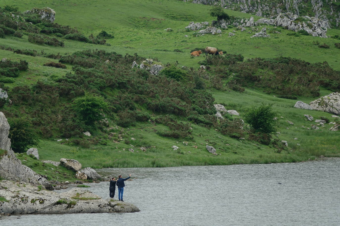 La niebla y los efectos del coronavirus provocan que los Lagos de Covadonga continuaran hoy con una afluencia notablemente inferior a la habitual