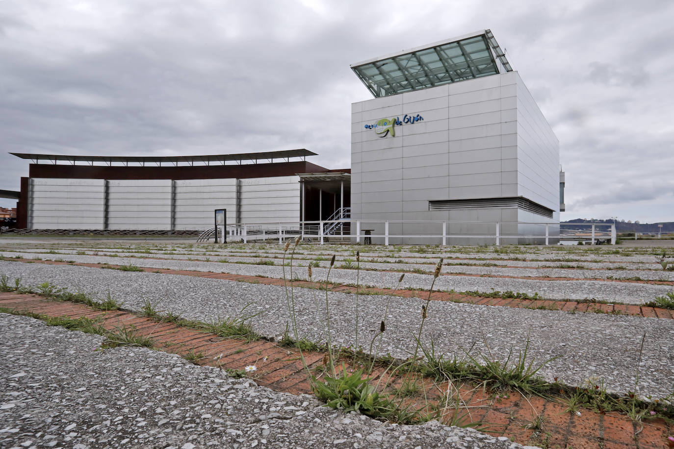 Ya han pasado 14 años de aquel 9 de junio en el que el Acuario de Gijón abrió sus puertas por primera vez. Desde entonces se ha convertido en uno de los puntos turísticos preferidos para pequeños y mayores en el que se puede observar la vida subacuática y disfrutar de su biodiversidad, con las más de 400 especies que alberga el centro. Además, a lo largo de estos años, el Acuario de Gijón también ha trabajado para divulgar investigaciones y concienciar sobre la importancia de cuidar el medio ambiente y, en especial, los océanos. 