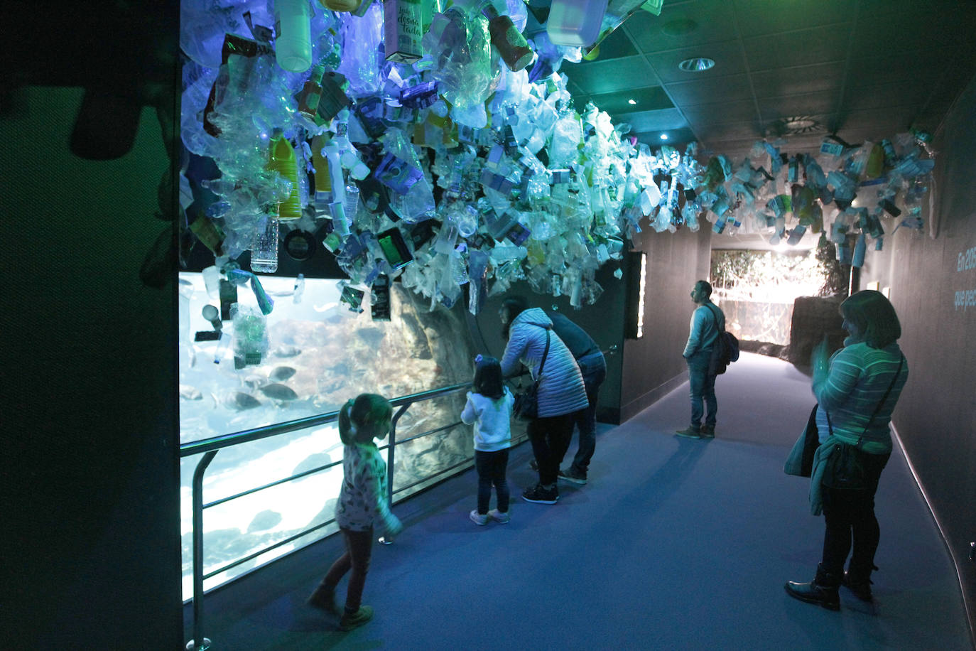 Ya han pasado 14 años de aquel 9 de junio en el que el Acuario de Gijón abrió sus puertas por primera vez. Desde entonces se ha convertido en uno de los puntos turísticos preferidos para pequeños y mayores en el que se puede observar la vida subacuática y disfrutar de su biodiversidad, con las más de 400 especies que alberga el centro. Además, a lo largo de estos años, el Acuario de Gijón también ha trabajado para divulgar investigaciones y concienciar sobre la importancia de cuidar el medio ambiente y, en especial, los océanos. 