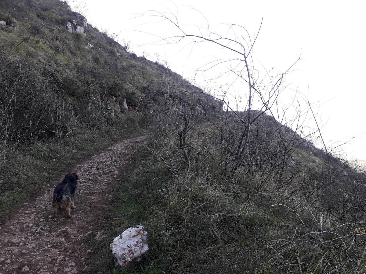 Fotos: Ruta por la Sierra del Monsacro y sus capillas