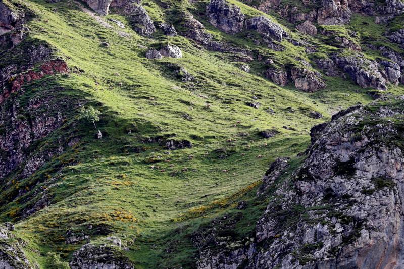 El Parque Natural de Somiedo con su paisajes, fauna y flora, hace de este rincón asturiano un lugar privilegiado para el esparcimiento. La orografía oscila desde los 400 metros a los casi 2.200, con lagos, Saliencia y del Valle, y teitos, construcciones que utilizaban los vaqueiros de alzada realizadas con techumbre de escoba.