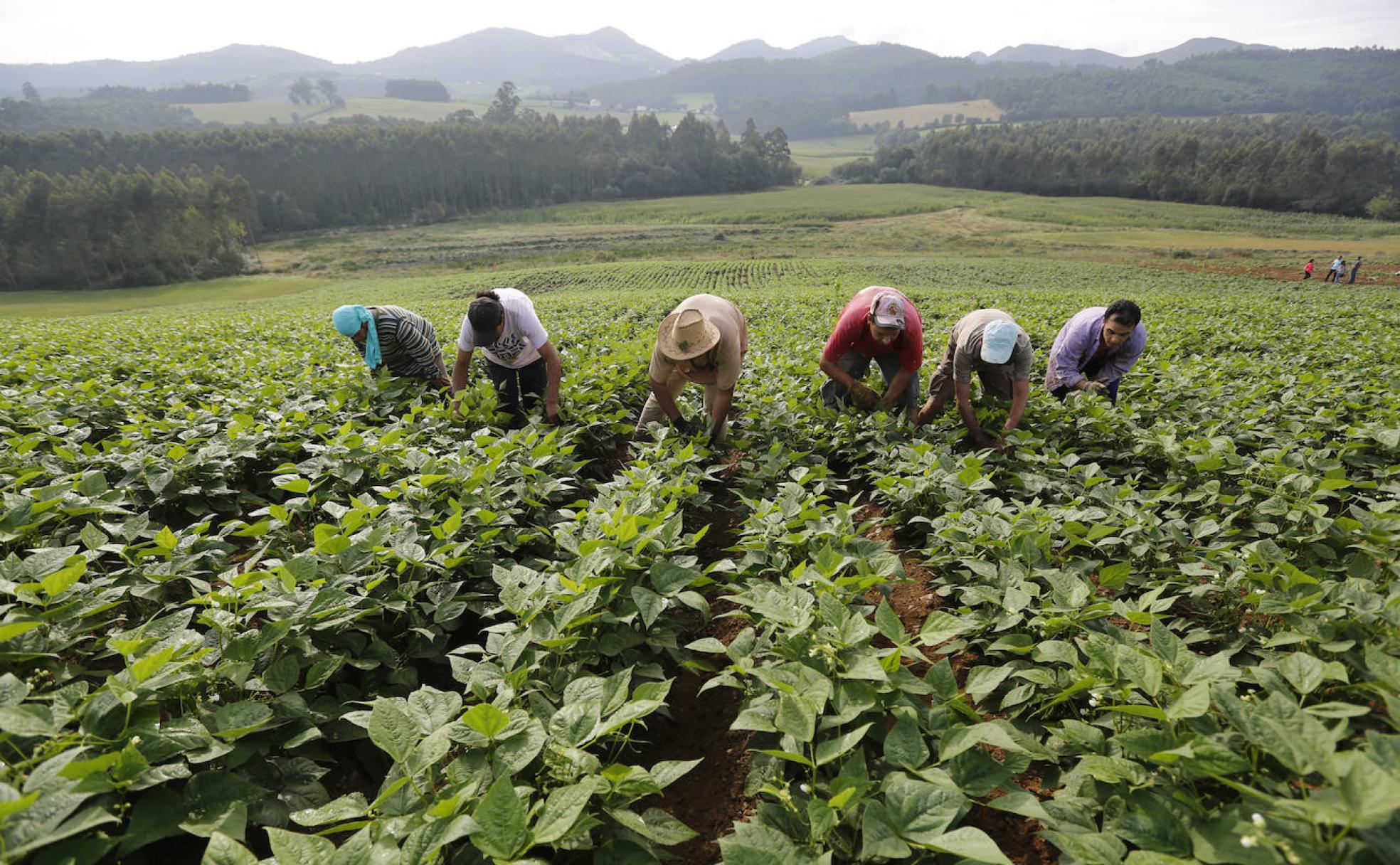 Una ley clave para garantizar el futuro del campo