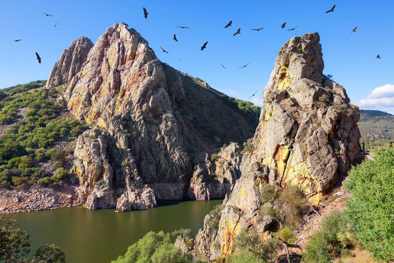 El Parque Nacional de Monfragüe está situado entre Navalmoral de la Mata, Plasencia y Trujillo y es uno de los puntos de mayor interés ornitológico de España. Y es que en este maravilloso entorno natural encontraremos especies como el águila imperial, el buitre negro, la cigüeña negra o incluso grandes colonias de buitres leonados entre otras muchas especies. Un parque situado al norte de Cáceres y cercano a la ciudad de Plasencia, que ocupa un área natural de unas 18.000 hectáreas. En este entorno también veremos dehesas de alcornoques, encinas, brezos, sauces y acebos, entre otros.