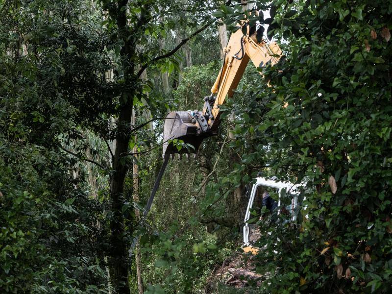 Fotos: Fallece un trabajador de la madera en Cancienes