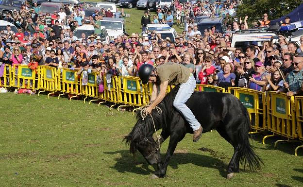 La última Fiesta del Asturcón